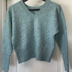 William Rast (Light Blue/Green) Medium Sweater